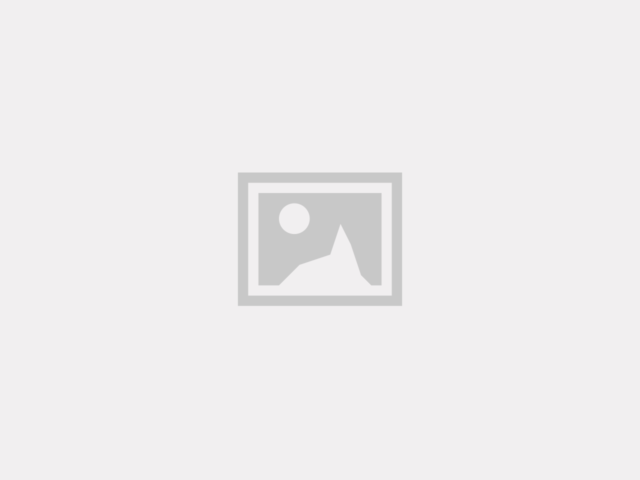Disktrasa med konsttryck – A home cat